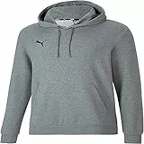Puma Teamgoal 23 Causals Hoody, Felpa con Cappuccio Uomo, Medium Gray Heather, M