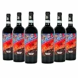 Brumale Vino Rosso Nero D'Avola Sicilia DOC, Gusto Rotondo e Completo, Profumo Fruttato, 13% Vol, Confezione con 6 Bottiglie da 750 ml