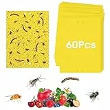 Trappola Mosche (20X15cm) 60 Pezzi Degradables Anti Mosche Cattura Mosche Trappola per Mosche para Plantas de Interior y Exterior Carta Moschicida Acchiappa Mosche Trappole per Mosche