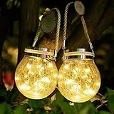 Diealles Shine Lanterne da Esterno Solari, 2 Pezzi 30 LED Lanterna Solare Esterno, IP65 Impermeabile Luci Solari Giardino da Appendere, Lampade Solari da Giardino Decorative per Feste Natale