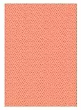 Ursus- Cartoncino Fotografico Deluxe, 10 Fogli di Cartone da 300 g/m², Circa 23 x 33 cm, in Porcellana Fresca, Colorata, rifinita su Un Lato con Vernice Lucida, coriandoli, Colore, 60750002