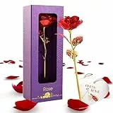 Rosa Eterna,Placcatura in Oro 24K Rose Stabilizzate Idee per Regali Originali,Regalo Festa Della Mamma,Rose Finte,Regali Festa Della Mamma,Regali per Lei,Fiori Stabilizzati per Regali Mamma(Rosso)
