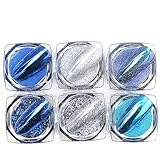 Pure Vie Glitter per Unghie, 6Colori Brillantini Unghie Decorazioni Polvere Unghie Effetto Cromo Perla Glitter Make Up per Viso Corpo Capelli Nail Art Pittura, Festa Festival Musicale