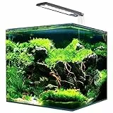 AMTRA NANOTANK SYSTEM 20 - Acquario in vetro completo di luce LED e filtro / cm 25x25x30 / 18 Litri