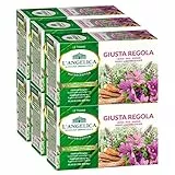 6x L'Angelica La Ricetta del Benessere Tisana Giusta Regola Vegan Vegan Senza Lattosio e Gluten Free - 6 Confezioni da 20 Filtri