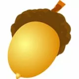 Noci e semi