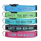 Collari per cani personalizzati, collare personalizzato ricamato nome animale domestico e numero di telefono 4 misure regolabili fibbia a sgancio rapido e anello a D (solido)