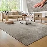Tappeto per soggiorno Unicolore Lavabile Morbido pelo corto morbido, Dimensione:240x340 cm, Colore:Grigio