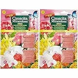 Crescita Miracolosa NUTRIMENTO in Bastoncini per Piante Fiorite (Confezione da 2)