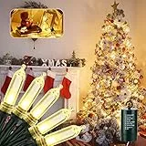 Moxled Luci di Natale da Esterno a Batteria Catena Luminosa 10M 100 LED, Luci Led a Batteria con Gancio, Timer, Impermeabile Bianco Caldo Luci Albero di Natale, Decorazioni Natalizie