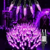 BrizLabs Catena Luminosa Halloween, 10M 100 LED Viola Stringa Luci Esterno Interno 8 Modalità ImpermeabileI Filo Verde Scuro lluminazione per Albero di Natale Casa Finestra Feste Giardino Deko