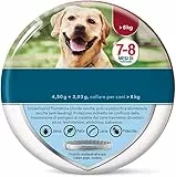 Collare antiparassitario, Per cani oltre 8 kg, Elimina pulci, zecche, pidocchi e protegge dal rischio di trasmissione,1 pezzo