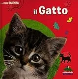 Il gatto