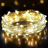 SALCAR LED guirlande lumineuse de 10 mètres / 33 Ft 100 diodes à l'intérieur du fil de cuivre Micro USB pour les fêtes de Noël Party Decorating (blanc chaud)
