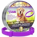 Trattamento contro Pulci e Zecche per Cani – Collare Cani Antipulci Regolabile e Resistente all’Acqua – 8 Mesi di Protezione – Protezione da Pulci, Zanzare e Zecche – 58 cm – Viola – Toldi