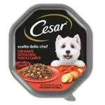 Cesar Scelta dello Chef Cibo Umido per Cane, Delizie di Stagione con Manzo Succulento, Patate e Carote - 14 Vaschette da 150g