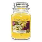 Yankee Candle Tropical Starfruit, per una sensazione “baciati dal sole”