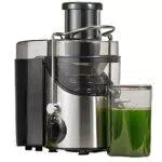 Centrifuga Frutta e Verdura, 3 Velocità Centrifuga di Acciaio Inox