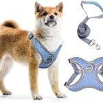Pettorina per cani, imbracatura imbottita per cani, imbracatura per cani riflettente con rete traspirante