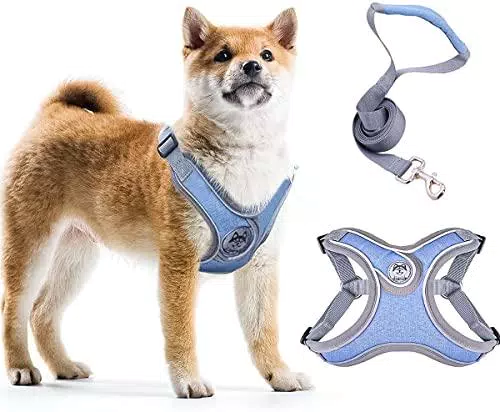 Pettorina per cani, imbracatura imbottita per cani, imbracatura per cani riflettente con rete traspirante