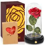 Rose Eterna, La Bella e La Bestia Rosa Luci Cupola di Vetro con Base Pino Luce a Led Kit di Rosa Fiore Regalo per Festa della Mamma Anniversario San Valentino di Matrimonio Decorazioni