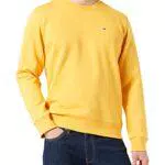 Tommy Jeans Tjm Regular Fleece C Collo Maglia di Tuta
