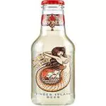 Abbondio Soft Drink a Base di Estratto della Radice di Zenzero