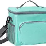 Aoresac Borsa Termica Pranzo 10L, Lunch Box Borse Frigo Piccola Cibo Alimentazione con Grande Capacità e Maniglia Durevole Borsa Termica Porta Pranzo per Campeggio Lavoro Scuola Picnic