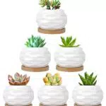 Luxspire Set di 6 Vasi per Succulentiini Vaso da Fiori in Ceramica Bianca con Vassoio di bambù