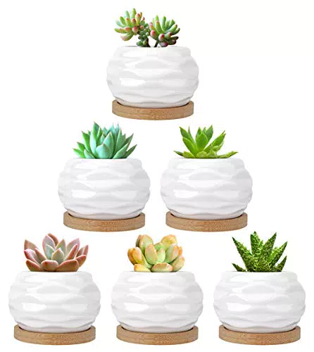 Luxspire Set di 6 Vasi per Succulentiini Vaso da Fiori in Ceramica Bianca con Vassoio di bambù