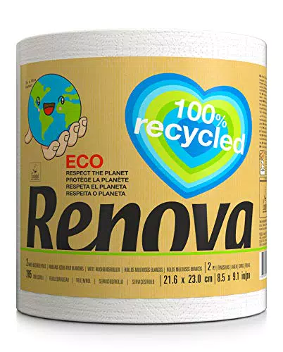 RENOVA rotoli da cucina rotolo da cucina Renovagreen Bianco Bio 1 = 10  1 gigarollo da cucina