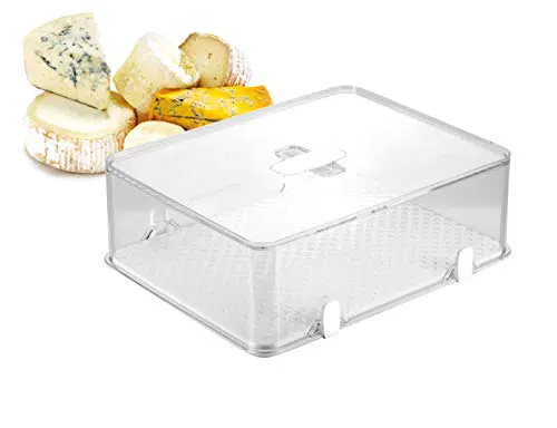 Tescoma 891828 Purity Contenitore Igienico Frigorifero per Formaggio