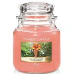Yankee Candle Candela Profumata, Tempo Di Combustione Fino A 75 Ore