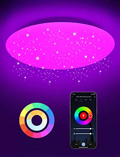 Alexa Plafoniera LED Soffitto Stellata WiFiaxcio 24W 35cm Plafoniera Compatibile con Alexa e Google Homeaxcio APP Controllomart Lampada LED Dimmerabile RGBCCT