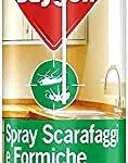 Baygon Spray con Cannuccia Extra Precision, Insetticida per la Cucina