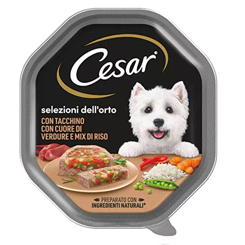 Cesar Selezioni dell'orto Cibo per Cane con Tacchino