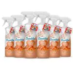 COCCOLATEVI Essenza per Ambienti Sandalo e Ambra 750 ml X 6 Profumatore per Ambienti