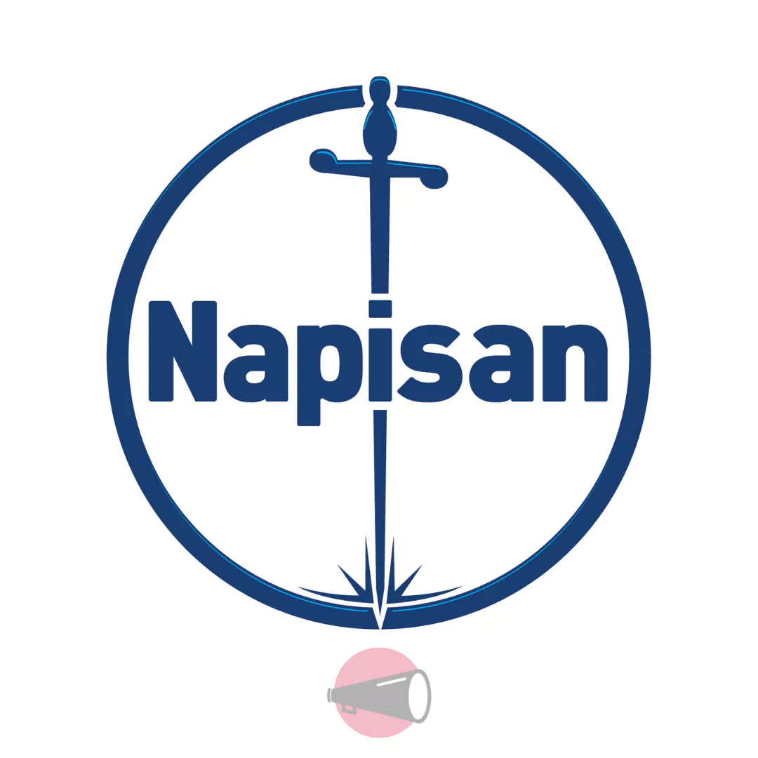 Napisan