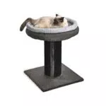 Amazon Basics - Albero per gatti XL con palo tiragraffi