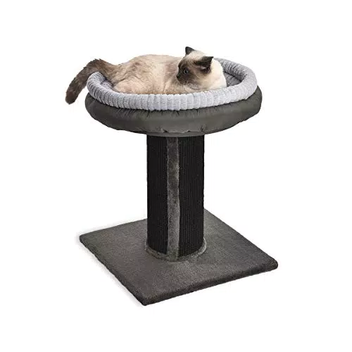 Amazon Basics - Albero per gatti XL con palo tiragraffi