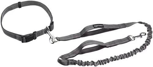 Amazon Basics - Guinzaglio estensibile per cani con doppia maniglia