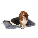 Amazon Basics - Materassino per animali domestici - 0,89 m, grigio con motivi a spirale