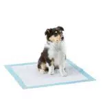 Amazon Basics, Tappetini resistenti per l'addestramento di cani e cuccioli