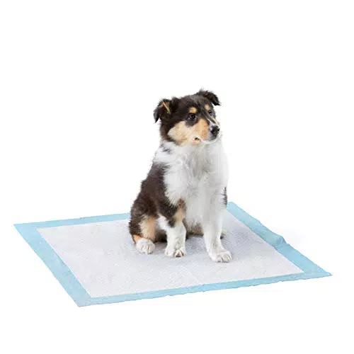 Amazon Basics, Tappetini resistenti per l'addestramento di cani e cuccioli