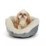 Amazon Basicsettino rotondo per animali domestici, riscaldante