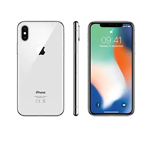 Apple - iPhone X 64GB Argento