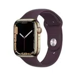 Apple Watch Series 7 Smartwatch con cassa in acciaio inossidabile color oro con Cinturino Sport ciliegia scuro - Regular Fitness tracker