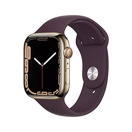 Apple Watch Series 7 Smartwatch con cassa in acciaio inossidabile color oro con Cinturino Sport ciliegia scuro - Regular Fitness tracker