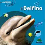 Delfino