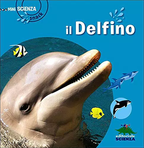 Delfino